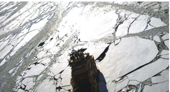 Figure 1. The Magne Viking during one of the DP in ice trial cases