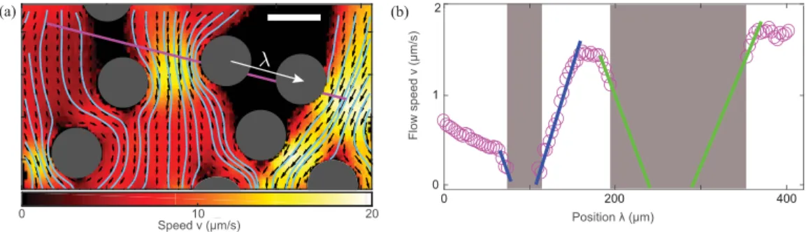 FIG. 4. Flowing microgel exhibits no slip along unyielded microgel, but shows significant partial slip on solid PDMS surfaces