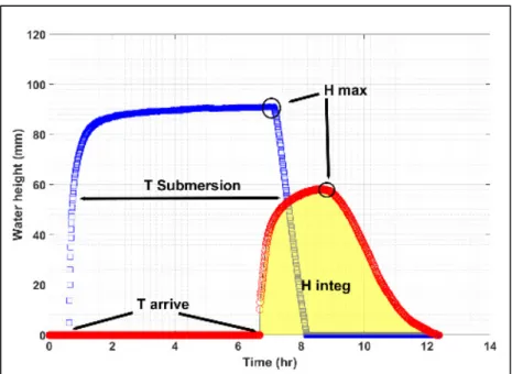 Figure 2. Time evolution of water levels during an irrigation event in two locations monitored in the  1st site