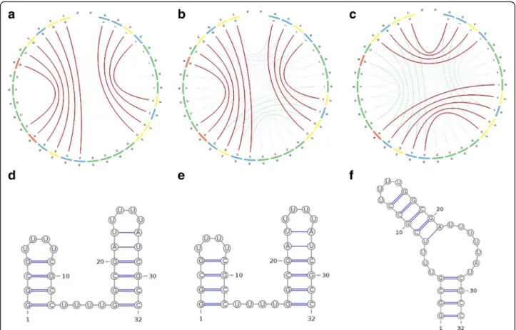 Fig. 5 The CS 2 BP 2 -Plots (top) and planar graphs (bottom) for secondary structures of a small bi-stable RNA