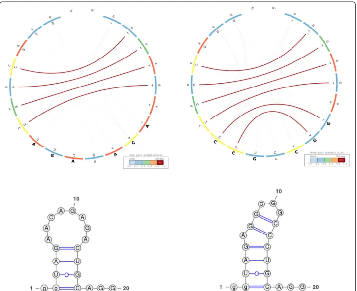 Figure 6 depicts the predicted secondary structures of an active (left) and an inactive (right) gRNA sequence from Thyme et al