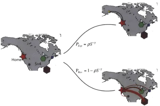 Figure  3-3:  Exploration  and  Preferential  Visit.  With  star is  represented  the  home  of the  individual  (Seattle)  and  with  the  hexagons,  the  already  visited  places