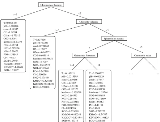 Fig. 1. An example of a clustering tree.