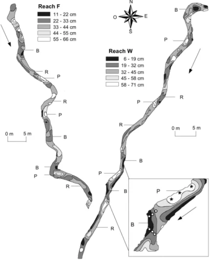 Fig. 2. Topographic maps of the studied reaches, reach F (left-upper part) and reach W (right-lower part), and selected geomorphologic units: riffles (R), pools (P), and sand bars (B)