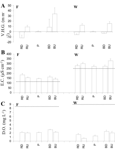 Fig. 3. Vertical Hydraulic Gradient (V.H.G. - A) measured at 10 cm deep in sediments, specific conductance (E.C