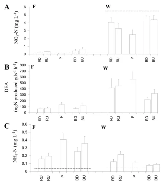 Fig. 4. Concentration of nitrate-N (A) and ammonium-N (C) measured in surface water (horizontal dashed line) and interstitial water (bars), and denitrification enzyme activity (DEA, B) measured in shallow  se-diments cores for each geomorphologic unit: poo