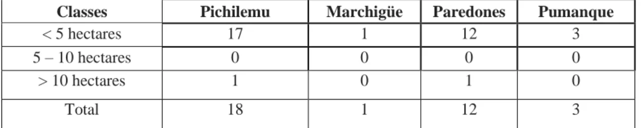 Tableau 8 : répartition des exploitations agricoles de la coopérative selon leur superficie  Classes  Pichilemu  Marchigüe  Paredones  Pumanque 