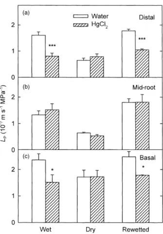 Figure 2. L P  for intact segments from the distal (a), mid-root (b)  and basal (c) regions of roots of A