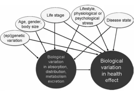 Fig. 3. Biological variations in health effects of micronutrients are partly related to intrinsic variation in bioavailability, and partly influenced by a range of other external factors (lifestyle, socio-economic status, etc)