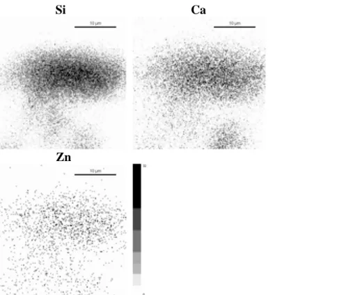 Figure 1. Elemental maps of SiO    2 -CaO-5%ZnO (Zn5) glass particle before immersion in the biological  fluid