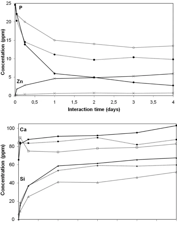 Figure 7. Ca (squares), Si (triangles), P (circles) and Zn (cross) concentrations in DMEM after  interaction with bioactive glasses