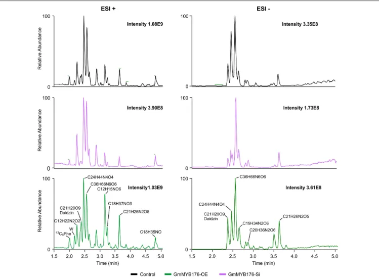 FIGURE 6 | LC-MS chromatograms of soybean hairy roots. Relative abundance of metabolites in GmMYB176-Si, GmMYB176-OE and control samples are shown.