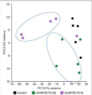 FIGURE 5 | Principal component analysis (PCA) of metabolite profiles in soybean hairy roots with altered GmMYB176 expression