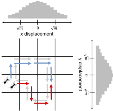 Fig. 2. A schematic of the proof of Lemma 3. We argue that the recollision probability of two agents after m steps (shown in red and blue) is equivalent to the probability that a length 2m random walk (shown in gray) returns to its origin