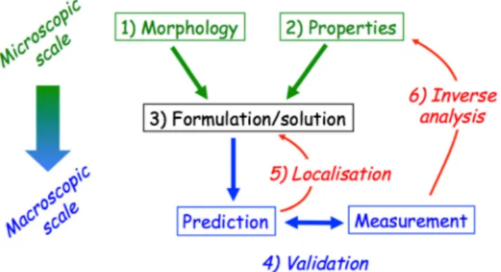 Figure 1 indicates that a macroscopic property depends on both the local properties of the different phases of the REV (2) and their spatial organisation (morphology) (1)