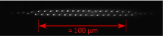 FIG. 6. Image of a 2d 40 Ca + ion crystal. The imaging performance is practically constant over a length scale of 100 µm.