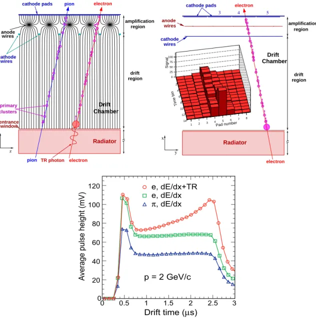 Figure 3.41: Schematic cross-sectional view of a detector module in rz-direction (top left panel) and rϕ-direction (top right panel)