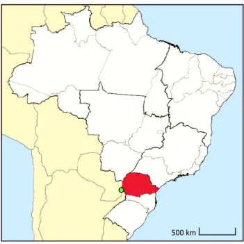 Figure 2. Localisation de la ville de Foz do Iguaçu, dans l'État du Paraná, Brésil 
