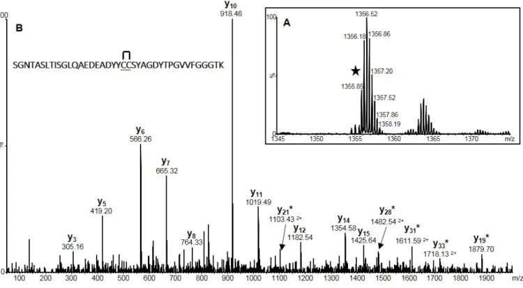 Figure S3. (A) When the tryptic digest of non-reduced SigmaMAb was analyzed by mass  spectrometry, a 3+ ion was observed corresponding to the peptide 
