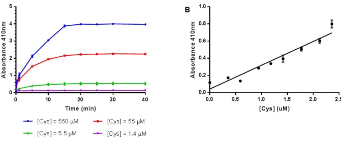 Figure S5. (A) p-nitroaniline production from L-BAPNA by papain-SSCH3 over time, as  measured by change in absorbance at 410 nm, when papain-SSCH3 is activated by different  concentrations of L-cysteine