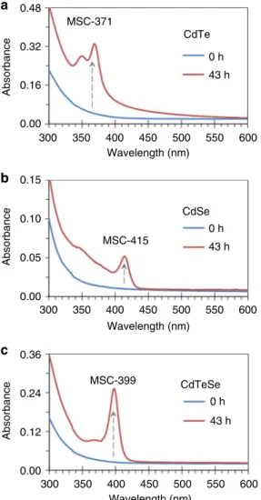 Figure 3 displays the ESI-MS spectra within the m/z range of 1200–1700 Da, for the samples of binary CdTe (trace 1) and CdSe (trace 2) (without room temperature incubation), together with their room temperature mixture (trace 3) with equal volumes and 30 m