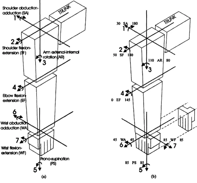 FIGURE  1. HUMAN  JOINT RANGE OF MOTION  AND  TERMINOLOGY. JOINT ANGLES  ARE FROM KAPANDJI  1982 (2)