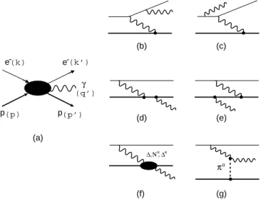 FIG. 1: Kinematics for photon electroproduction on the pro- pro-ton (a) and lowest order amplitudes for Bethe-Heitler (b, c), VCS Born (d, e), VCS Non-Born (f), and t-channel π 0  -exchange (g) processes