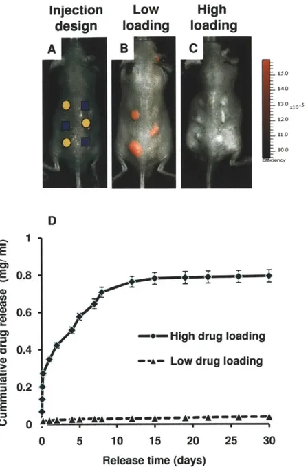 Figure 3.1: Effect of drug loading on the localization of anti-inflammatory  properties.