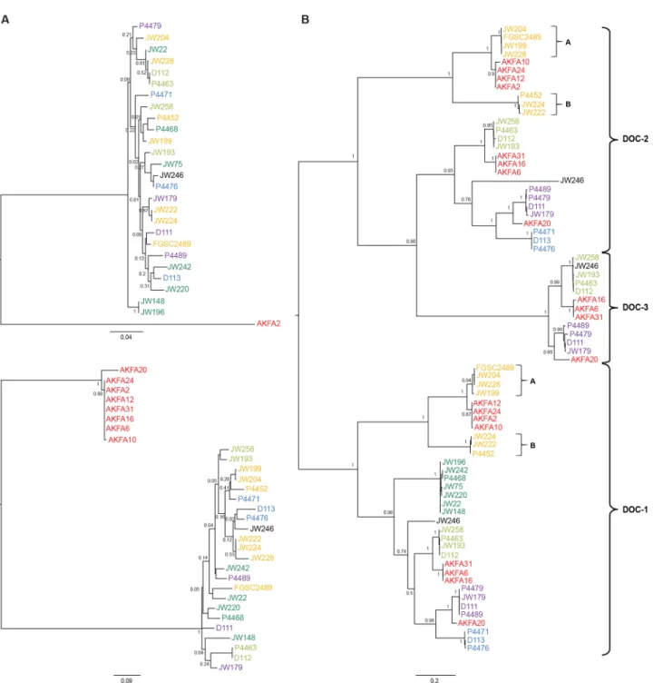 Fig 7. Phylogenetic analyses of the predicted proteins encoded by genes associated with genomic rearrangements revealed transspecies polymorphisms at DOC-1 and DOC-2/DOC-3
