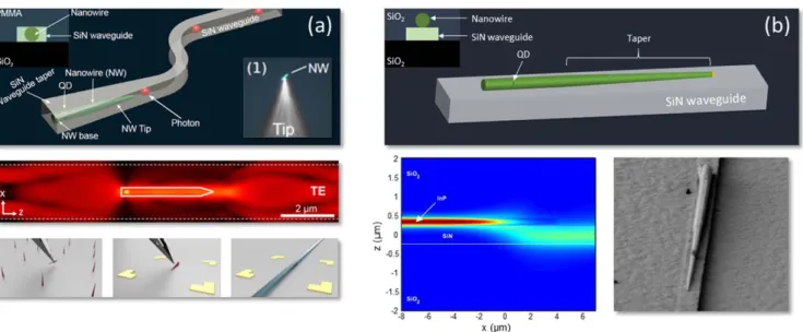 Figure 7. (a) Upper panel: schematic of an InP nanowire embedded in a SiN waveguide. Middle panel: FDTD simulation of the electric ﬁeld proﬁle (E x ) in a SiN waveguide with an embedded QD