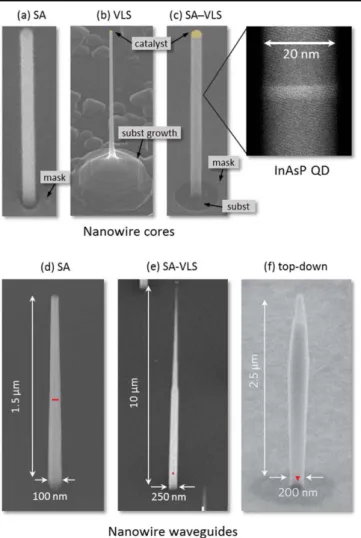 Figure 1. Upper panel: scanning electron microscopy (SEM) images of InP nanowire cores showing the different bottom-up growth modes: (a) SA—selective-area; (b) VLS—vapor–liquid–solid; and ( c ) SA – VLS which combines VLS growth with an oxide mask 