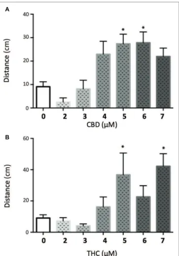 FIGURE 6  |  Quantiication of the swimming distance of 5 dpf larvae during  90 min after  treatment with different concentrations of CBD (A) or THC (B)   (t test vs