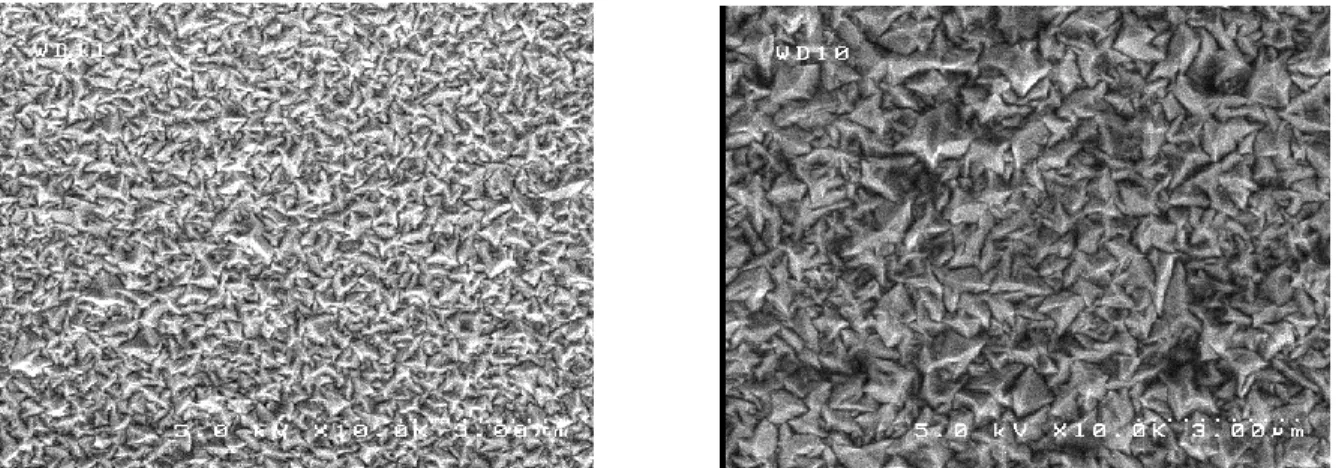 Figure 3.4.2: SEM image of 1500 nm thick B:ZnO texture (left) and 3000 nm thick B:ZnO (right) grown  by Bosch