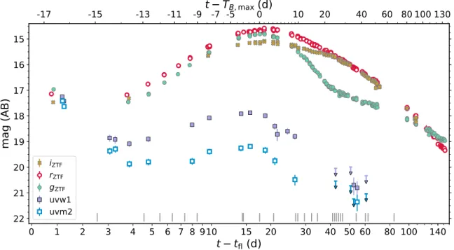 Figure 1. Photometric evolution of SN 2019yvq, highlighting the initial decline observed in the light curve