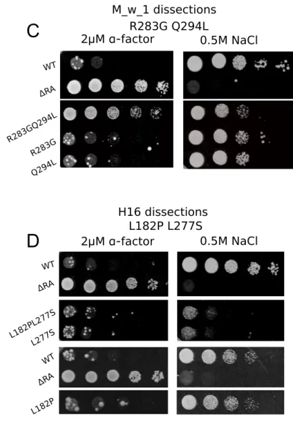 FIGURE S1: Dissections of multiple mutations to �ind causal mutation(s). A, B and C) Mutants  speci�ically defective in pheromone response with multiple mutations were dissected