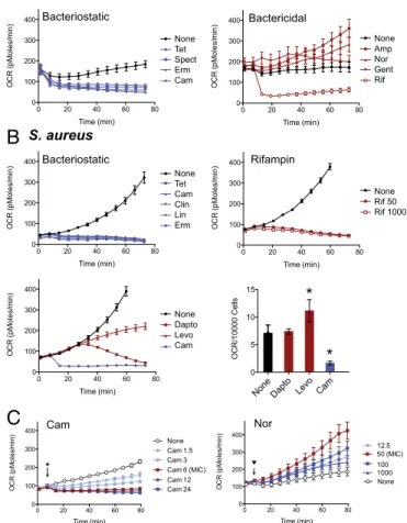 Fig. 1. Antibiotics perturb bacterial respiration. Real-time changes in oxy- oxy-gen consumption rate (OCR, in picomoles of molecular oxyoxy-gen per minute) in response to antibiotic treatment in E