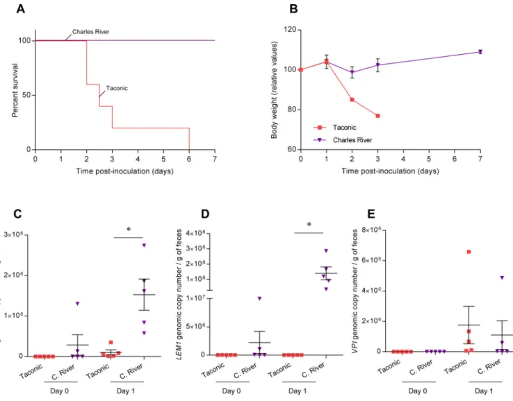 Figure 5. Variation of C. difficile susceptibility in mice from Charles River Laboratories and  Taconic farms