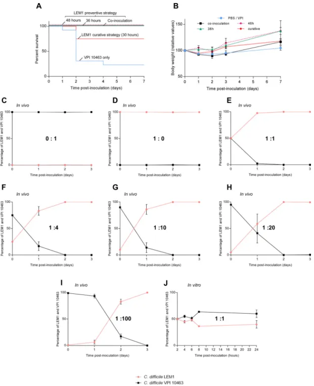 Figure 8. C. difficile LEM1 outcompetes C. difficile VPI10463 and protects against VPI-induced  disease in germ-free mice