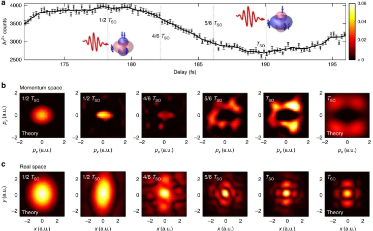 Fig. 2 Snapshots of a spin – orbit wave packet in the argon cation. a Measured Ar + yield as a function of time delay between pump and probe pulses
