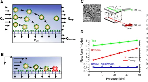 FIGURE 1 (A) Enhanced cell transport to a fluid- fluid-permeable capture surface is achieved by diverting streamlines
