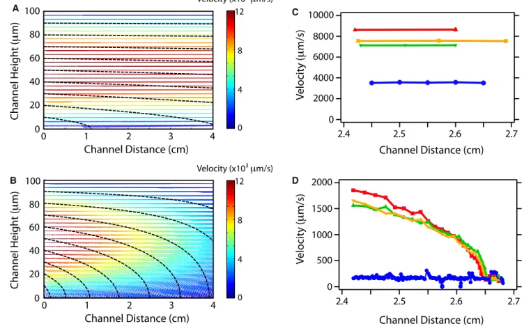FIGURE 2 Theoretical particle trajectories (dashed black lines) and fluid velocity field vectors (color) in channels with (A) solid surface (A ¼ 0%) and (B) fluid-permeable surface (A ¼ 70%)
