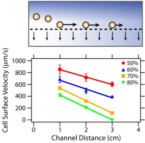 FIGURE 3 Experimental measurements of cell surface velocity (markers) as a function of percentage permeation flux A and channel  dis-tance