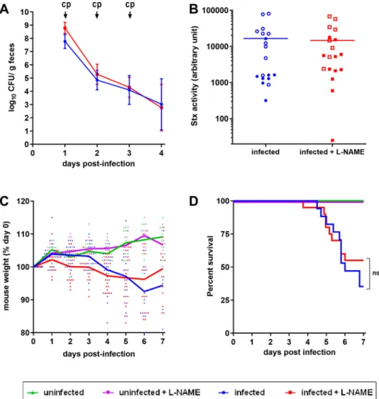 Figure 4. Role of NO in a lethal EHEC infection model. Mice, treated or not with L-NAME, were left uninfected or were infected with EDL933