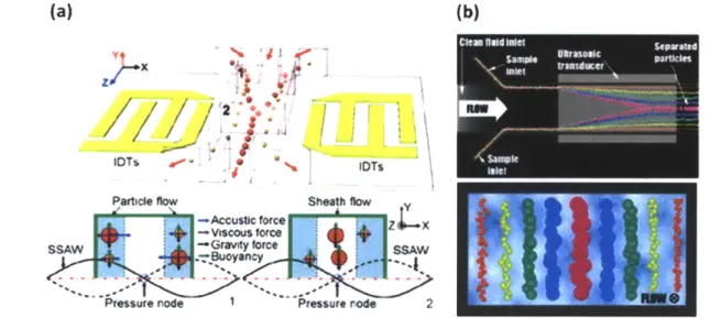 Fig. 2-4:  (a)  Schematic  illustrating  the principle  of acoustic  separation  by standing  surface acoustic  waves  (SSAW)  generated  using  interdigital  transducers  (IDT)