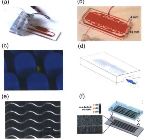Fig.  2-8  (a)  Schematic  of a single  straight rectangular microfuidic  channel and  fluid streamlines.