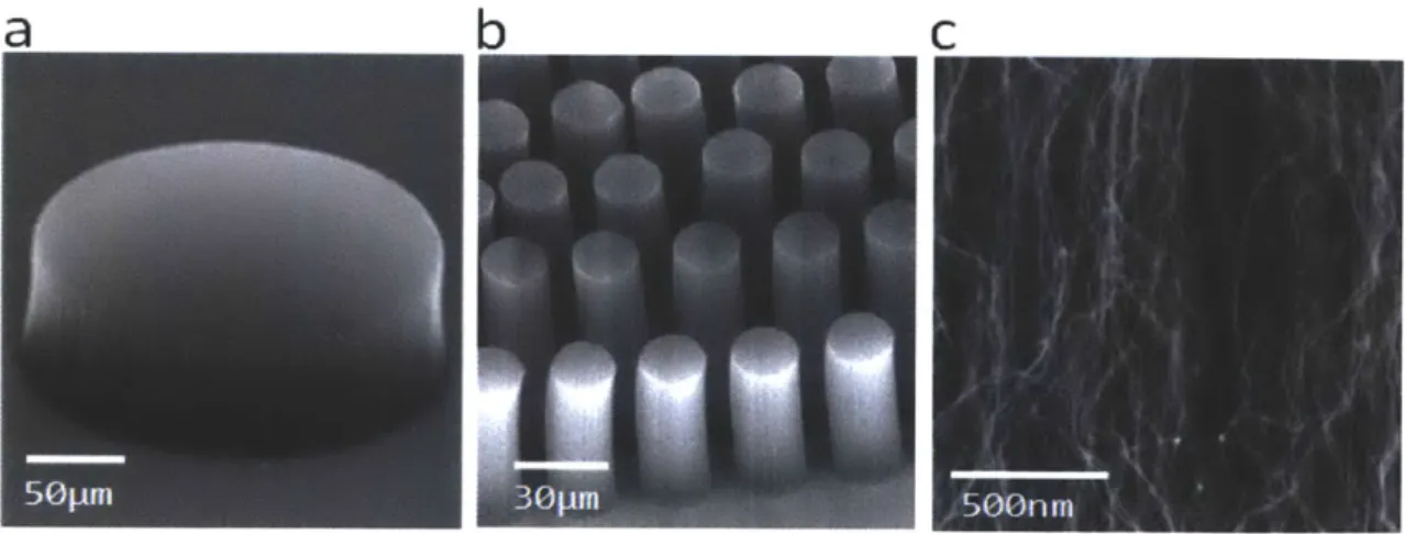 Fig. 2-9  Scanning  electron  micrographs (SEMs)  of patterned  VACNT  elements  (a) A 200pm diameter  single  post (b)  An array of 20pm diameter posts  (c)  Nanostructure  of a VACNT  forest