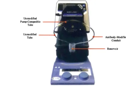 Figure 2-2:  Experimental setup for  testing selective TNF-a filtration with infiiximab- infiiximab-modified  conduits