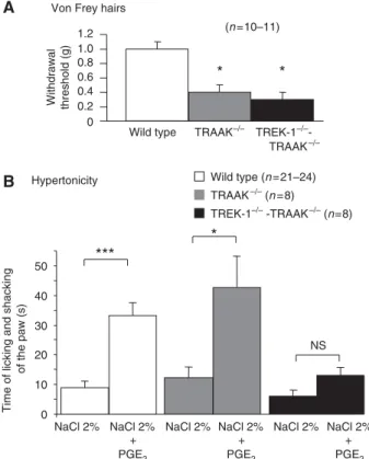 Figure 1 Mechanical allodynia in TRAAK / and TREK1 / - -TRAAK / mice. (A) Mechanical sensitivity was measured on mice of indicated genotypes with paw withdrawal thresholds to von Frey hairs of increasing stiffness