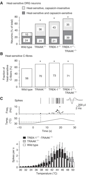 Figure 2 Enhanced heat sensitivity of TRAAK / , TREK1 / and TREK1 / -TRAAK / DRG neurons and C-fibres