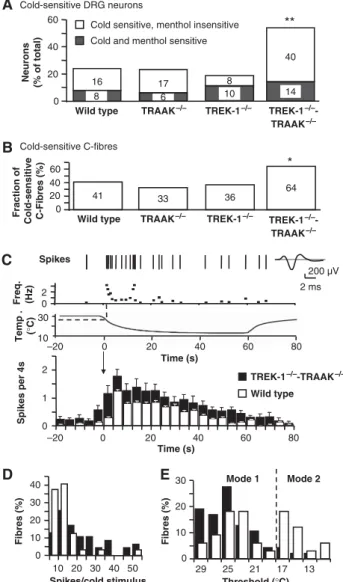 Figure 4 Cold sensitivity of DRG neurons and C-fibres of TRAAK  /  and TREK1 / -TRAAK / mice